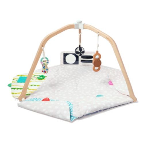 The Play Gym rental in Chicago, IL