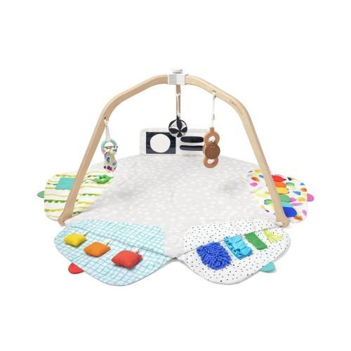 Baby Activity Gym rental in Napa - Sonoma, CA