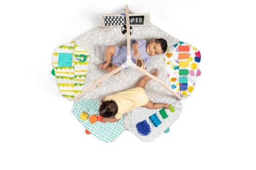 Baby Activity Gym rental in Napa - Sonoma, CA