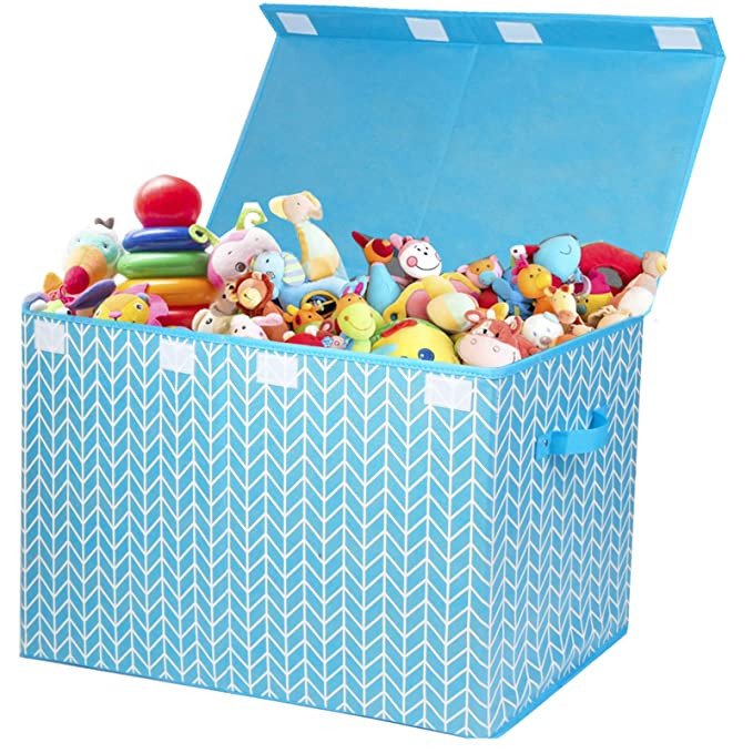 Toy Box rental in St. Petersburg-Clearwater