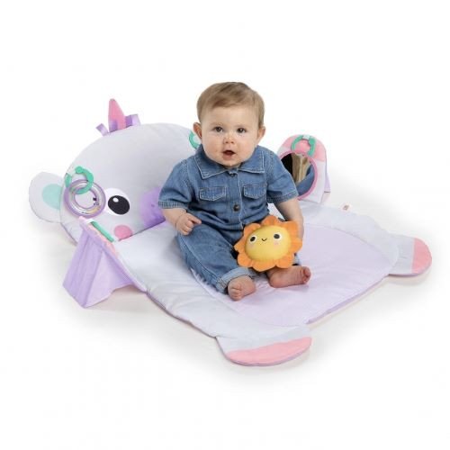 Tummy Time Activity Mat rental in Milwaukee, WI