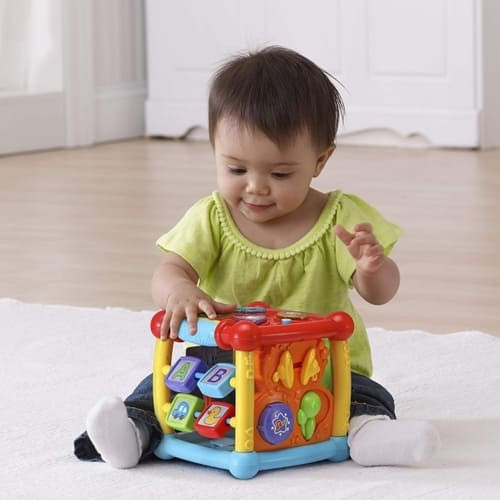 VTech Busy Learners Activity Cube rental in Delaware