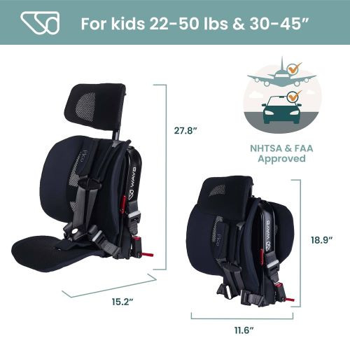 WAYB Pico Travel Car Seat rental in Richmond, VA