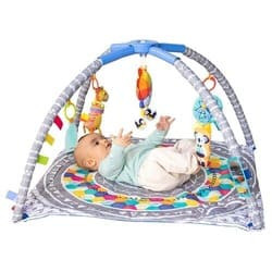 Baby Activity Gym rental in Phoenix - Scottsdale, AZ