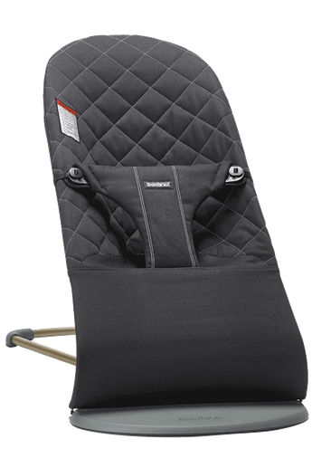 Baby Bjorn Bouncy Seat rental in Long Island, NY
