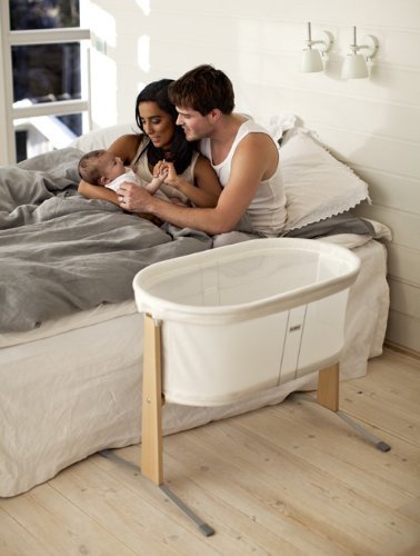 Baby Bjorn Bassinet rental in Napa - Sonoma, CA