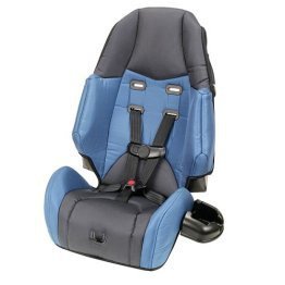 Booster Car Seat W Harness Al In, Special Tomato Car Seat Order Form