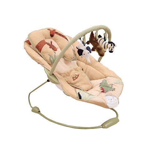 Bouncy Seat rental in Seattle, WA