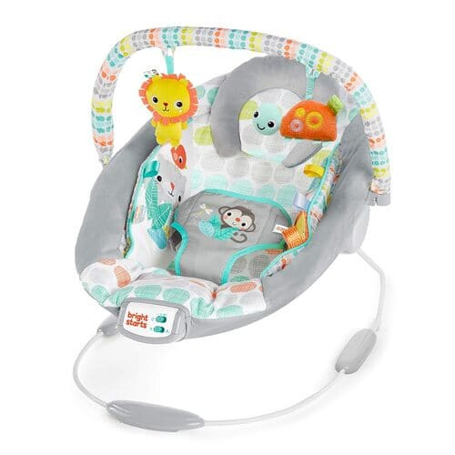 Bright Starts Bouncer Seat rental in Connecticut