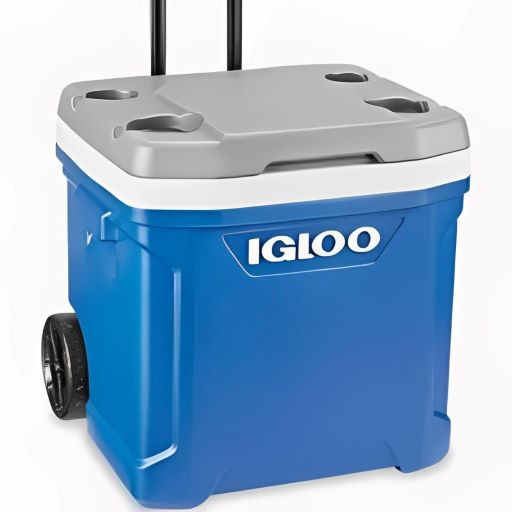 Igloo cooler with wheels 62 QT Roller rental in San Francisco, CA