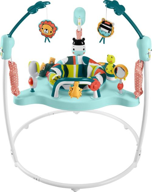 Fisher-Price Baby Bouncer Activity Center rental in Delaware