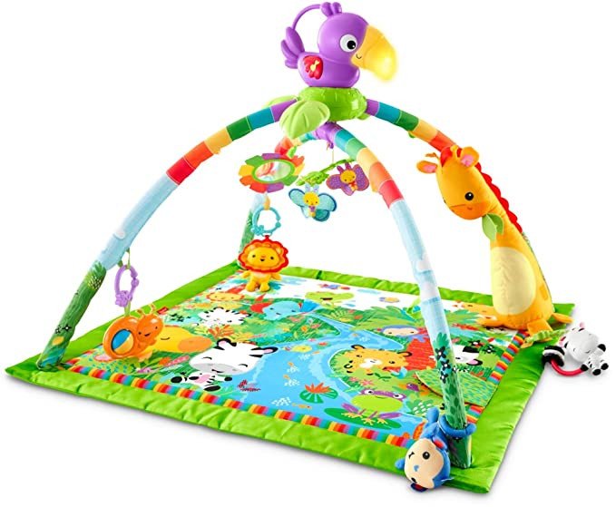 Deluxe Play Gym rental in St. Petersburg-Clearwater