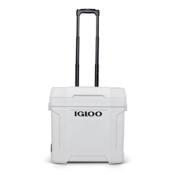 Igloo 30qt Roller Cooler rental in St. Petersburg-Clearwater