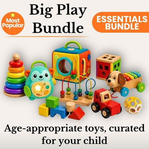 Tub Of Toys 3 1/2 - 5 Years rental in Flagstaff Arizona