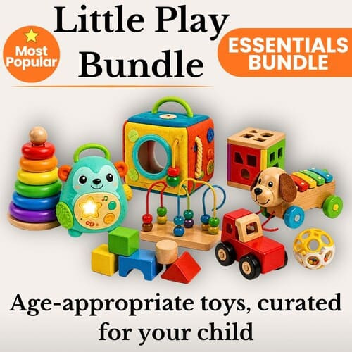 Toy Basket + Play Essentials (Large) rental in Delaware