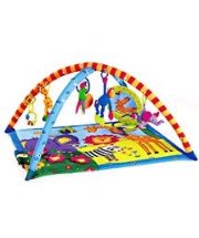 Baby Activity Gym