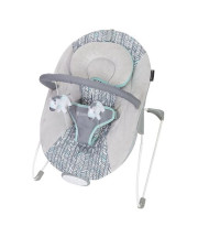 Bouncy Seat