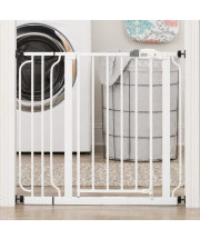 Step Walk Thru Gate