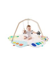 Baby Activity Gym