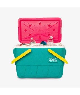 25 Quart Insulated Cooler 