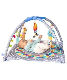 Baby Activity Gym