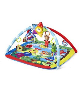 Baby Activity Gym