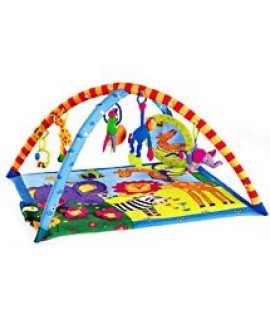 Baby Activity Gym