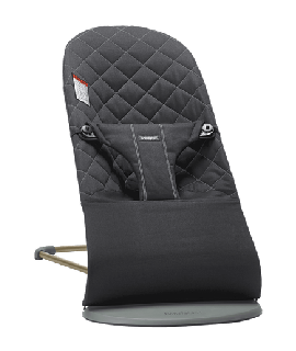 Baby Bjorn Bouncy Seat