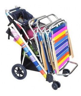 Beach Cart