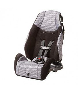 Booster With Harness