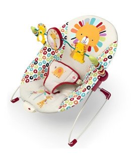 Bouncer Seat