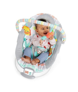Bouncer Rental