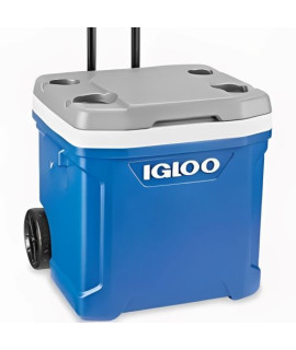 Igloo Cooler
