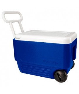 Cooler