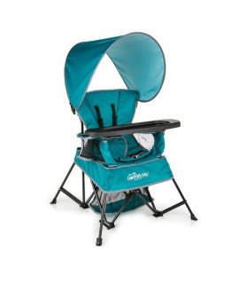 Baby Delight Go with Me Venture Chair