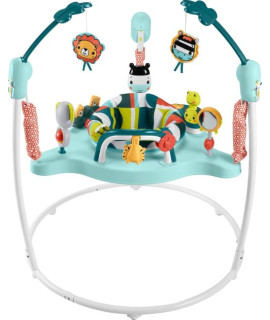 Fisher-Price Jumperoo Activity Center