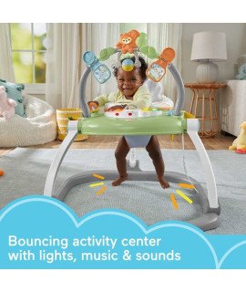 Baby Bouncer SpaceSaver Jumperoo By Fisher Price