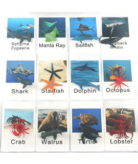Montessori Match Game