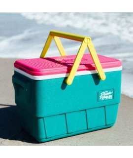 Picnic Basket Insulated Cooler 