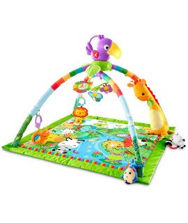 Deluxe Play Gym