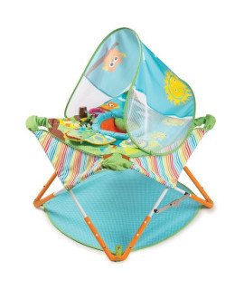Portable Activity Center