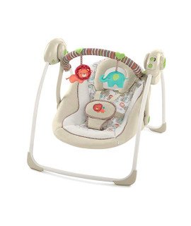 Portable Swing