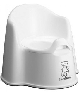 Potty Chair