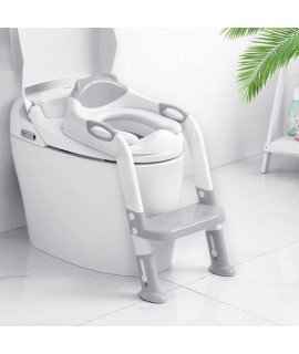 Potty training seat/ step ladder 