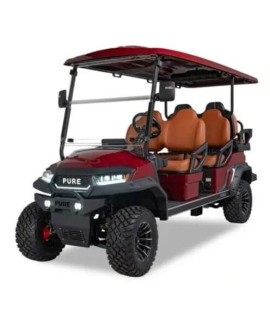6 Passenger Golf Cart Rental