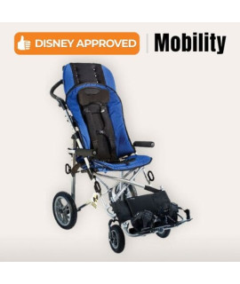 Special Mobility Stroller