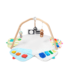 The Play Gym