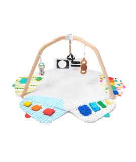 The Play Gym