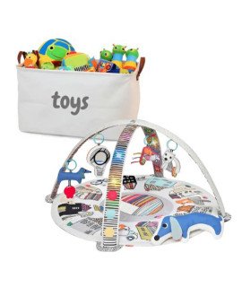 The Skip Hop Baby Play Package 