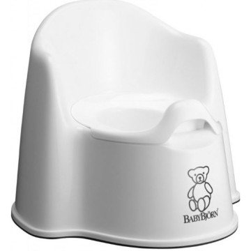 Potty Chair